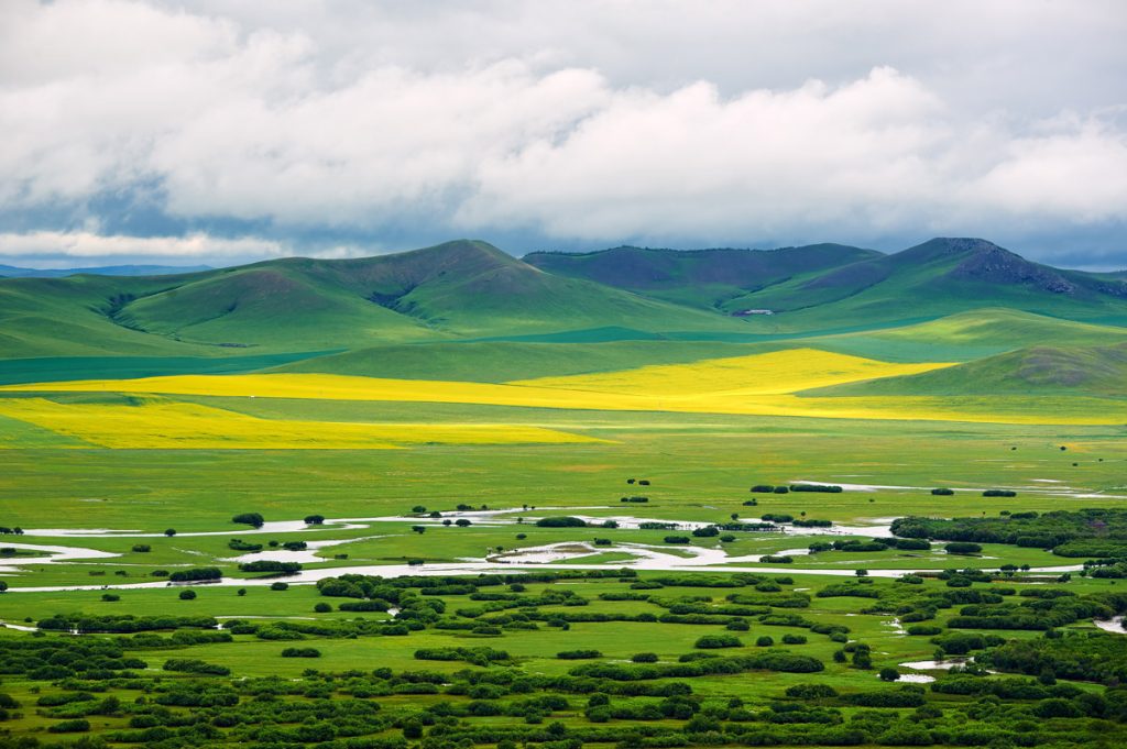 Inner Mongolia Wetlands