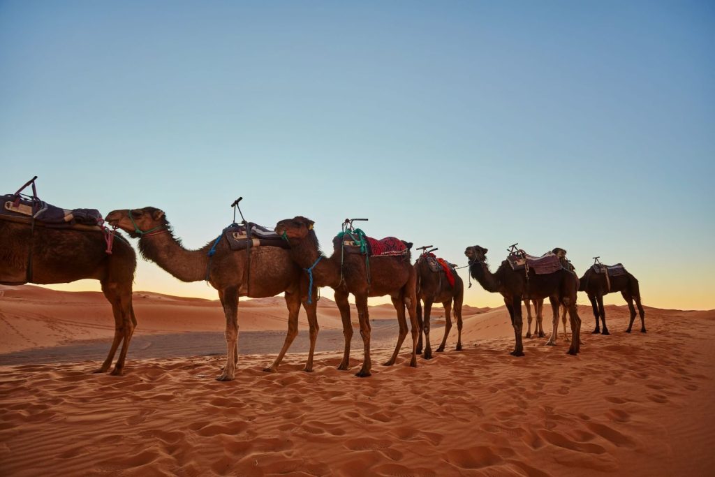 The Silk Road