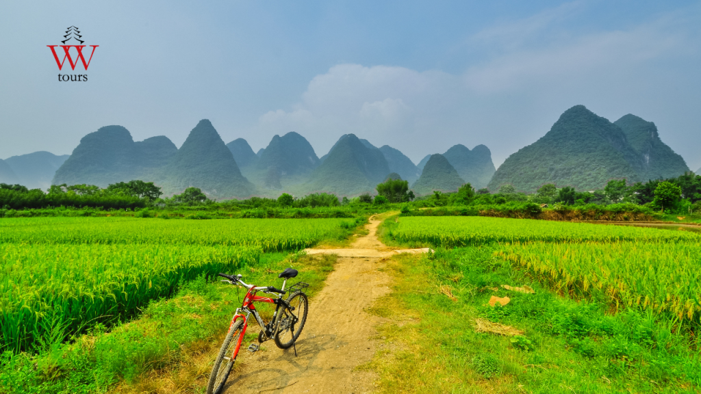 Yangshuo Biking