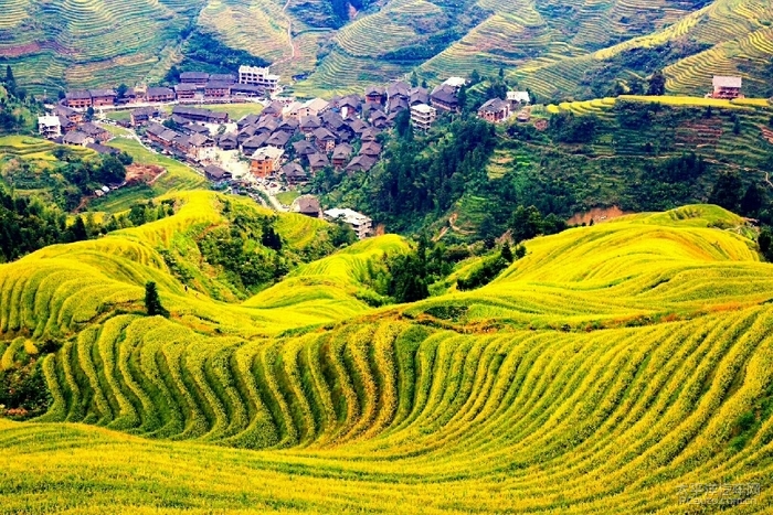 Longji Rice Terraces landscape in China
