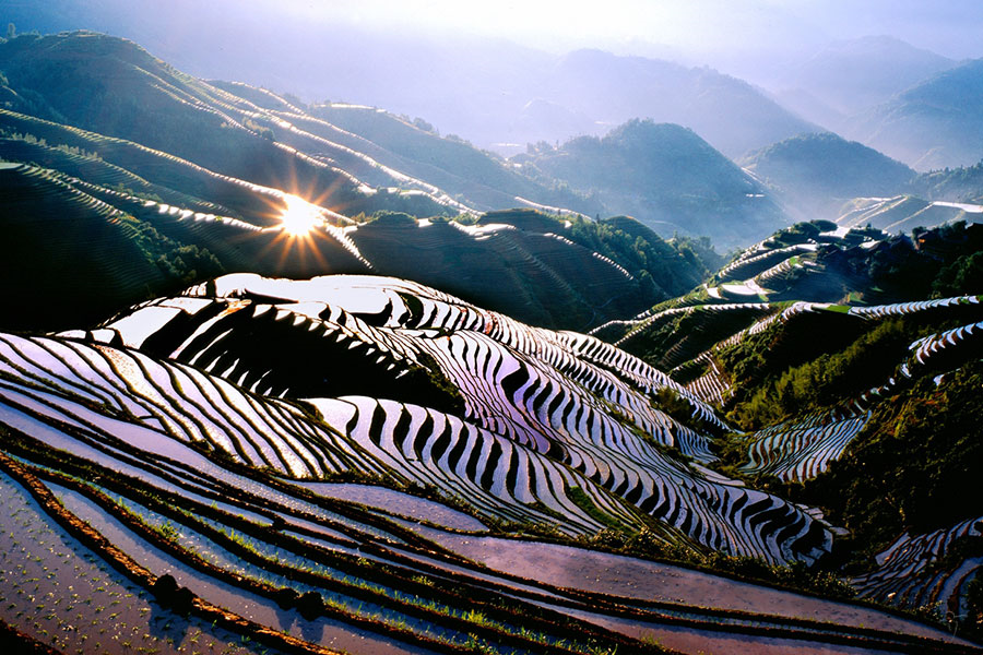 Longji Rice Terraces