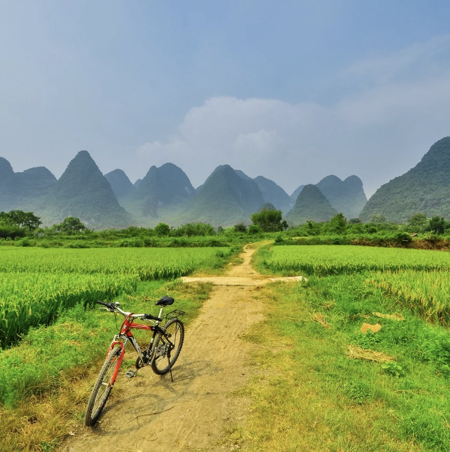 Cruise Climb & Cycle