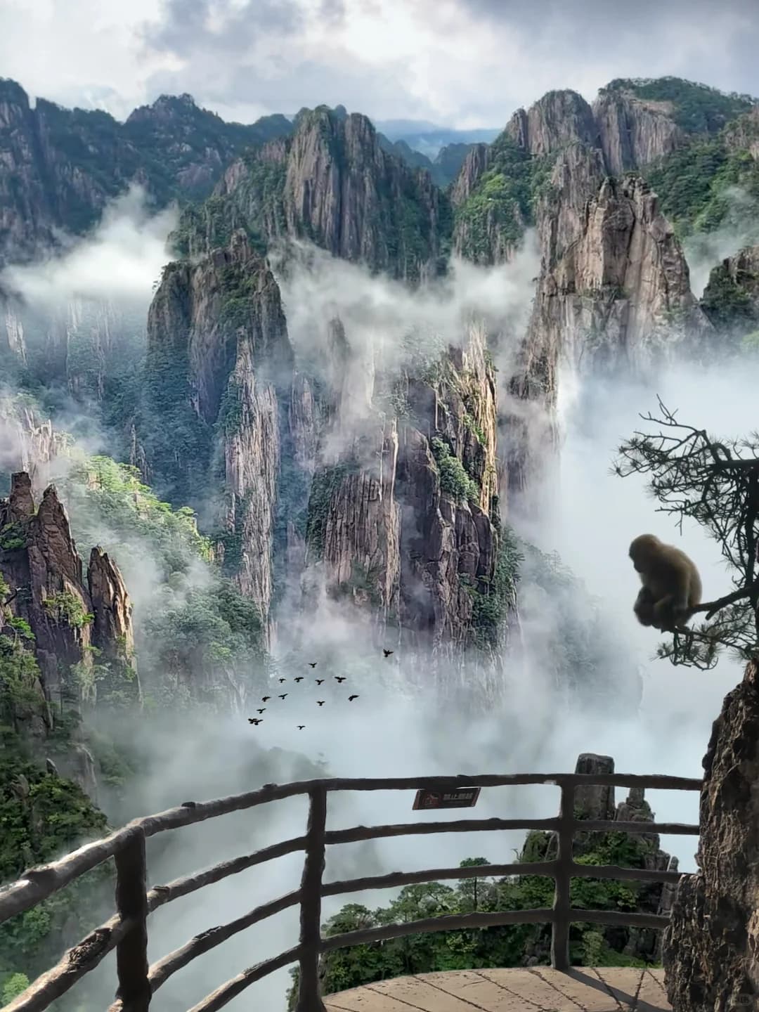 Yellow Mountains