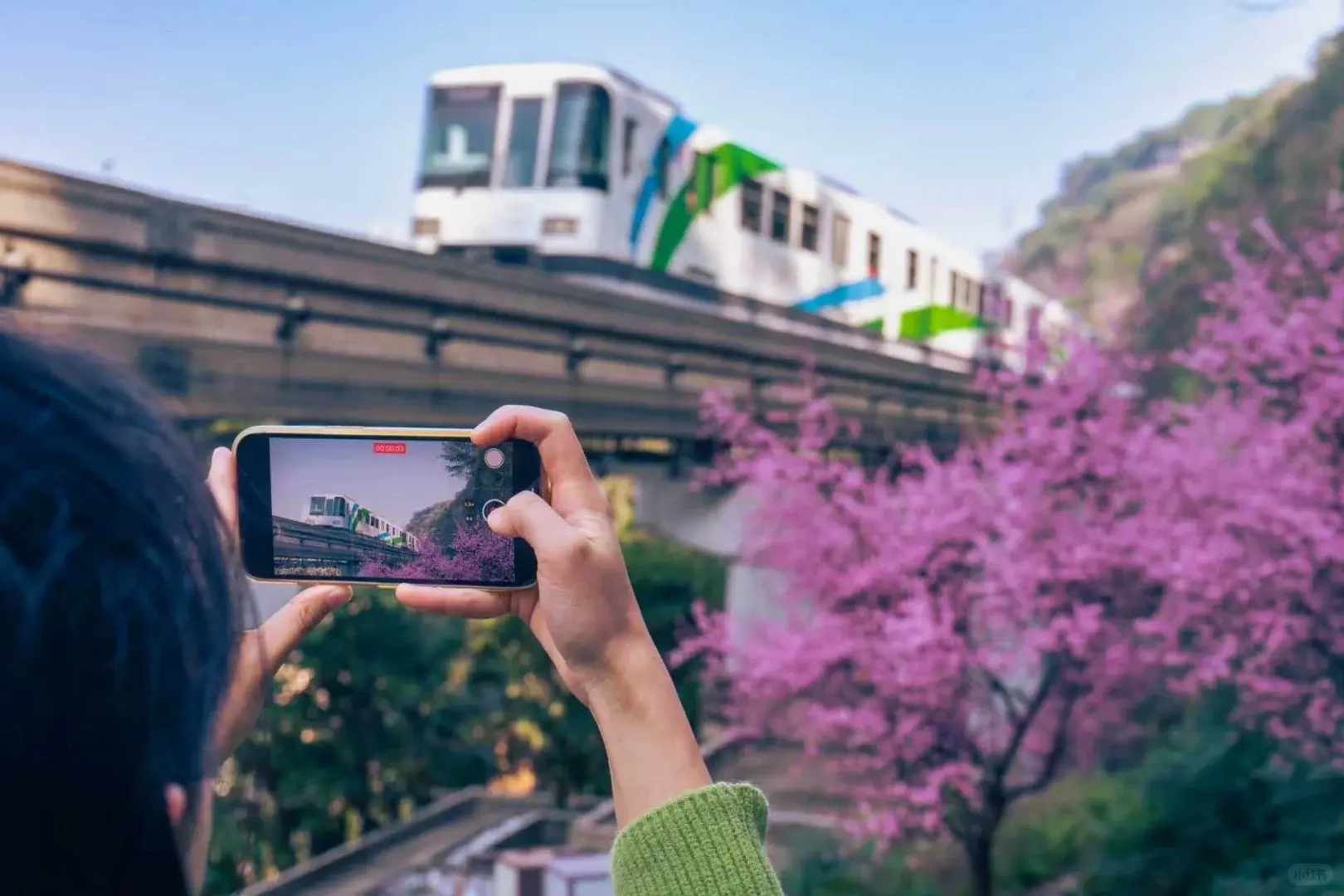 Liziba Monorail Chongqing