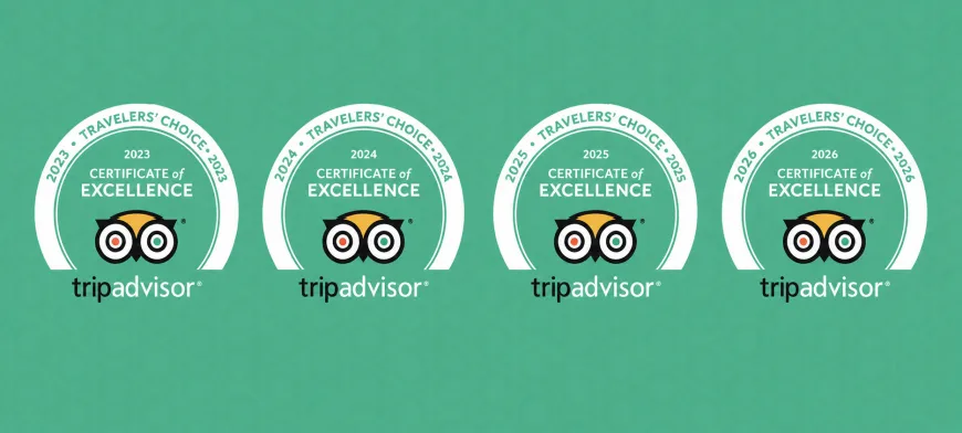Wendy Wei Tours Trip Advisor