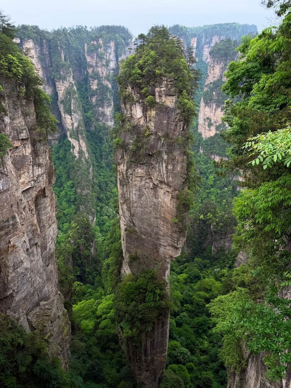 Golden Whip Stream Zhangjiajie