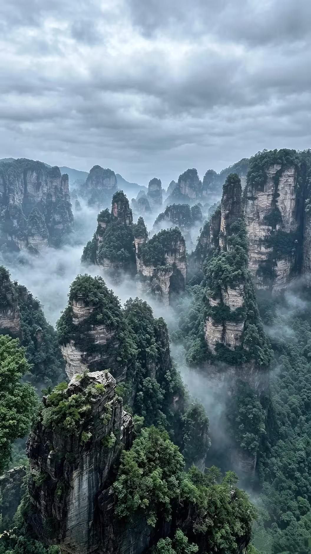 Zhangjiajie skip-the-line private day tour overlooking the Avatar Mountains
